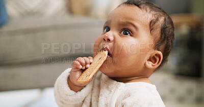 Buy stock photo Eating, young and baby with biscuit in home for teething, soothe gums and chewing for growth. Family, hungry and infant with food for nutrition, wellbeing and child development for wellness in house