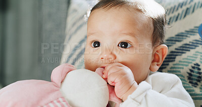 Buy stock photo Biting, doll and growth with face of baby in nursery of home for development, future or teething. Adorable, innocent or relax and infant playing with soft toy for comfort, purity or wellness