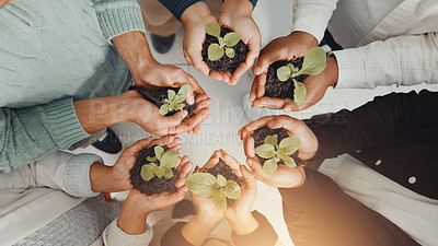 Buy stock photo Hands, plants and business people in circle in office for sustainability, charity or social responsibility. Teamwork, conservation and employees with sprout in soil for collaboration from above.