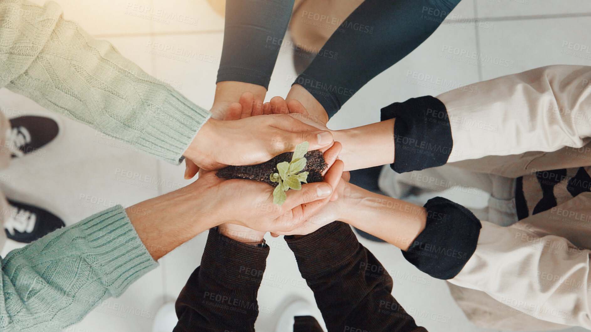 Buy stock photo Above, seedling plant and business people in lobby, teamwork and eco friendly company. Employees, cooperation and hands together with earth day, support and climate change with green conservation
