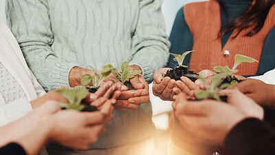Buy stock photo Hands, leaf and business people in circle in office for sustainability, charity or social responsibility. Teamwork, conservation and group of employees with plants in soil for collaboration.