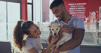 Buy stock photo Animal shelter, volunteers and people with dog, petting or bonding with domestic canine and charity. Happy, man and woman with pet, community service and foster care of companion in rescue center