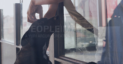 Buy stock photo Adoption center, dog and hands of person for bonding, companion and comfort in kennel. Animal shelter, rescue sanctuary and owner with pet for foster care, volunteer work and community service