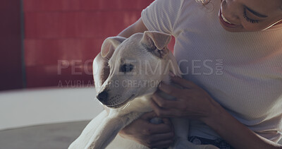 Buy stock photo Adoption center, happy and woman with dog for bonding, companion and comforting in kennel. Animal shelter, rescue sanctuary and person with pet for foster care, volunteer work and community service
