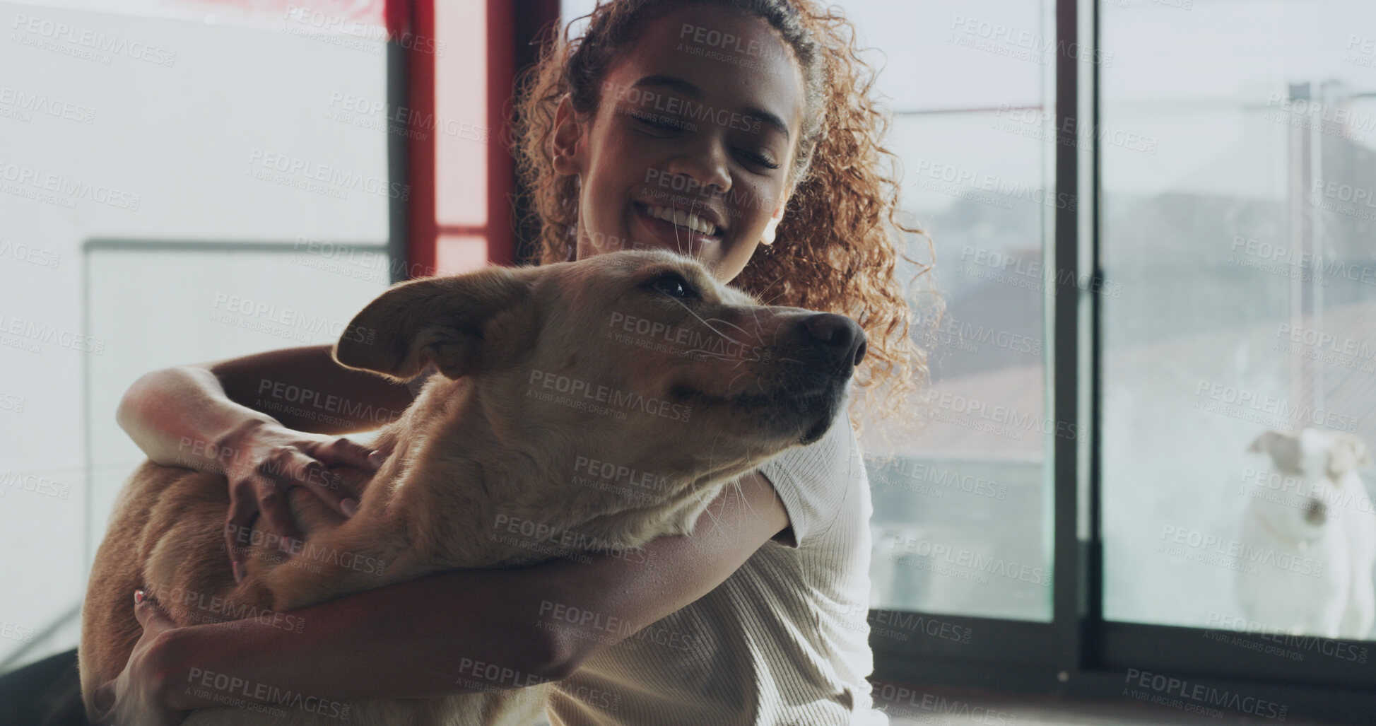 Buy stock photo Adoption center, pets and woman with dog for bonding, companion and comforting in kennel. Animal shelter, rescue sanctuary and person with canine for foster care, volunteer work and community service