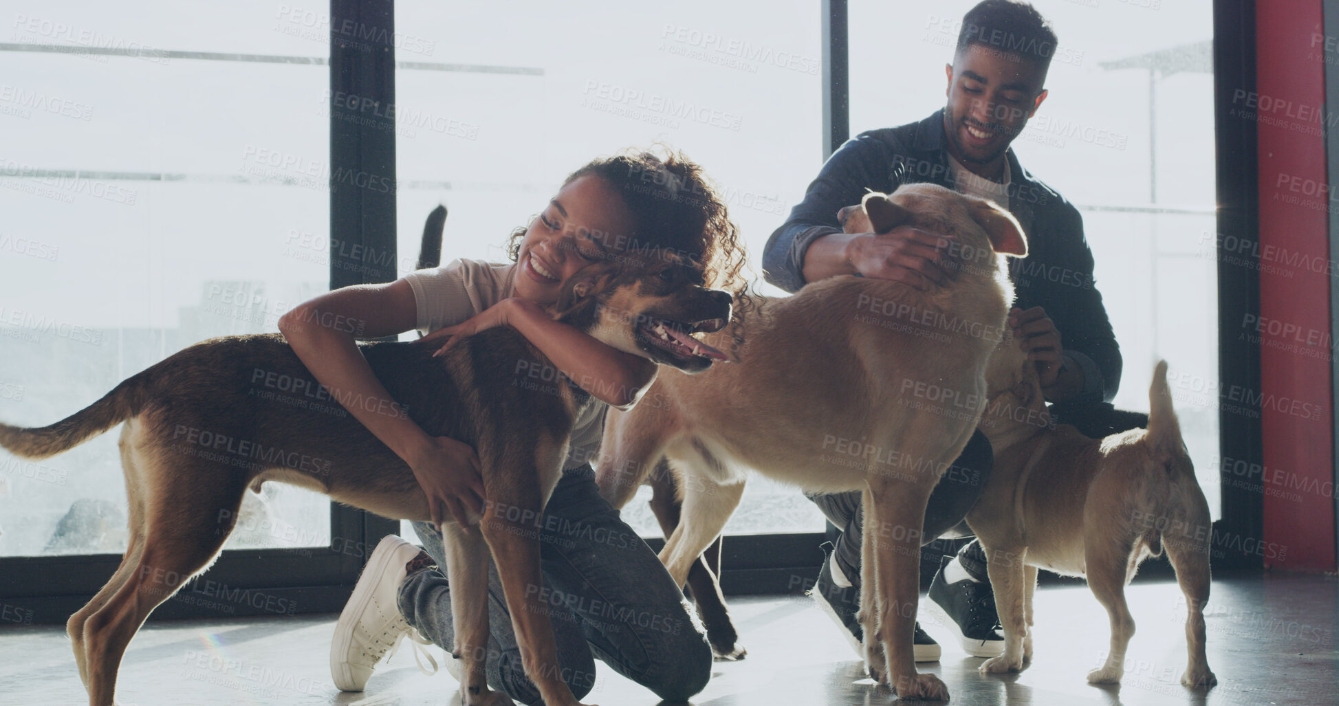 Buy stock photo Hug, adoption center and couple with dogs for bonding, companion and care at sanctuary. Animal shelter, rescue and happy man with woman for foster pets, volunteering and community service at kennel