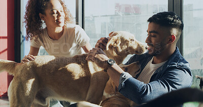 Buy stock photo Dogs, adoption center and couple with choice for bonding, companion and best friend. Animal shelter, rescue pets and happy man with woman for foster care, volunteering and community service at kennel