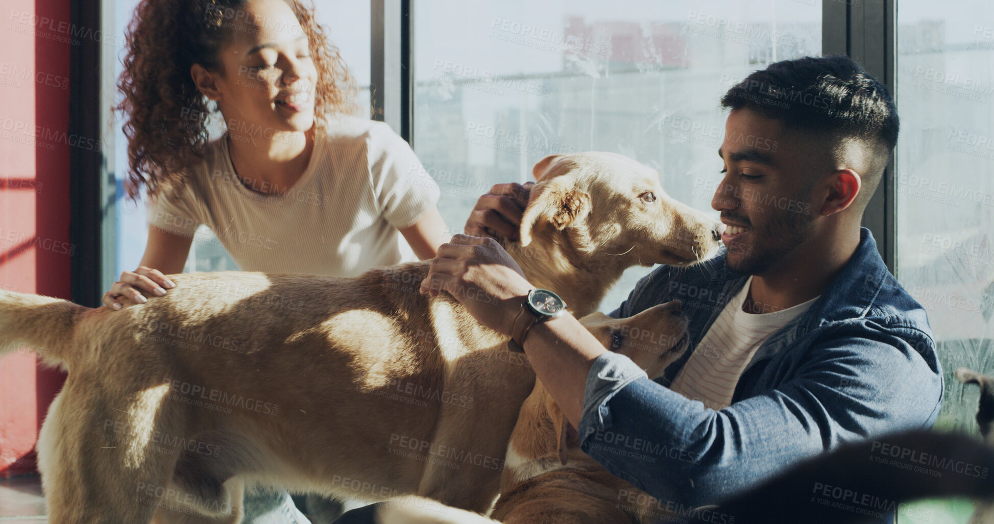 Buy stock photo Dogs, adoption center and couple with choice for bonding, companion and best friend. Animal shelter, rescue pets and happy man with woman for foster care, volunteering and community service at kennel