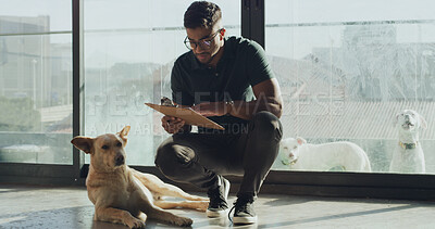 Buy stock photo Clipboard, adoption center and man with dog for owner application, report and pet information. Animal shelter, sanctuary and person with canine and documents for volunteering, rescue and foster care