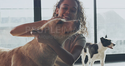 Buy stock photo Happy woman, dog or volunteer with pet for animal shelter, welfare or NGO charity in home. Female person, petcare or rescue with smile, canine or breed for doggy adoption, love or security in house
