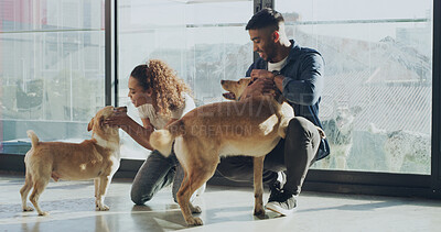 Buy stock photo Happy, adoption center and couple with dogs for bonding, companion choice and rescue pets. Animal shelter, charity and man with woman for foster care, volunteering and community service at kennel