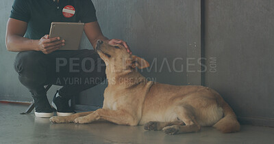 Buy stock photo Tablet, adoption center and man with dog for online application, website and pet information. Animal shelter, sanctuary and person with canine on digital tech for volunteering, rescue and foster care