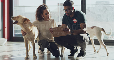 Buy stock photo Rescue center, people and adoption of dog, attendant and man with clipboard for process or contract. Animal shelter, talk and explaining application form to woman, foster care or ownership of canine