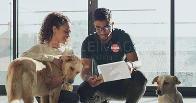 Buy stock photo Animal shelter, people and volunteer with clipboard, adoption and ownership of dogs and application. Rescue center, attendant and man with checklist for agreement, woman and process for foster care