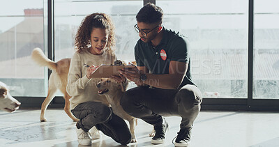 Buy stock photo Signing, form and adoption of dog, animal shelter or people with agreement, volunteer and ownership. Rescue center, pet NGO and man with checklist for application, woman and process for foster care