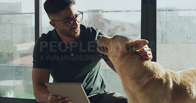 Buy stock photo Tablet, rescue center and man with dog for online application, website and pet information. Animal shelter, sanctuary and person with canine on digital tech for volunteering, adoption and foster care