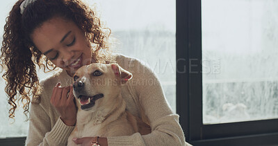 Buy stock photo Happy woman, dog or hug with love for animal care, adoption or best friend at indoor shelter. Female person, customer or adopt with pet or embrace for canine welfare, trust or support in doggy center
