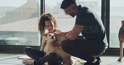 Buy stock photo Cuddle, dog and foster care with couple at animal shelter together for humanitarian responsibility. Adoption, charity and pet rescue with people at kennel or pound to search for loyal companion