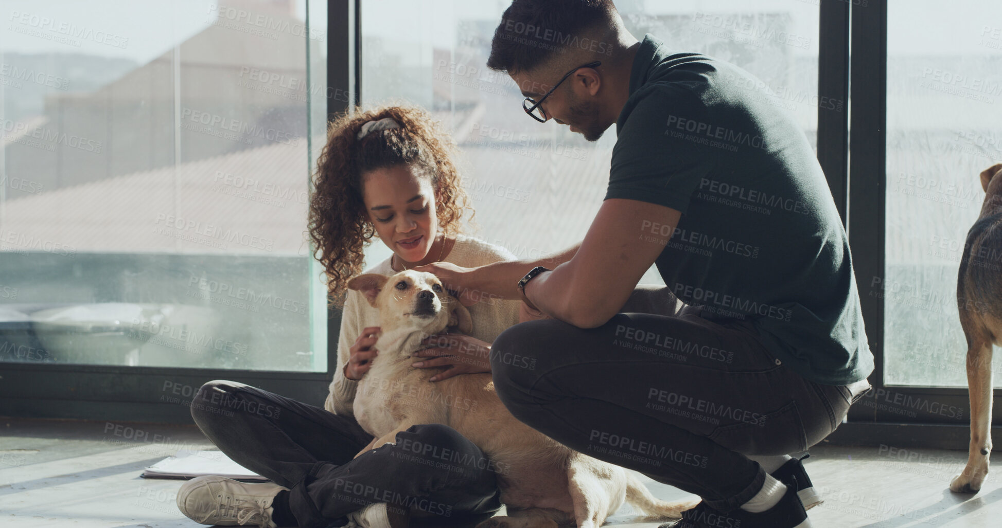 Buy stock photo Cuddle, dog and foster care with couple at animal shelter together for humanitarian responsibility. Adoption, charity and pet rescue with people at kennel or pound to search for loyal companion