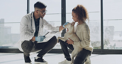 Buy stock photo Consulting, veterinary and dog with woman in clinic for appointment, support and pet care. Animal welfare, medical treatment and help with man and puppy for checkup, diagnosis and healthcare together