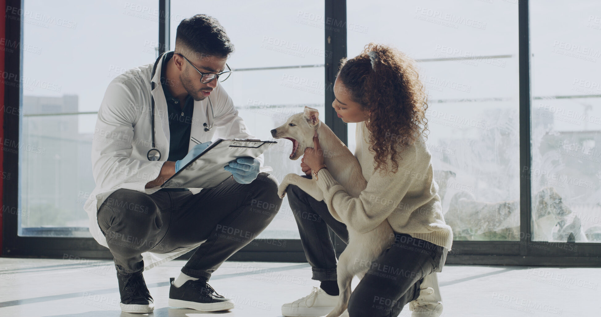 Buy stock photo Man, veterinarian or clipboard with dog for animal welfare, petcare or checkup in clinic. Male person, vet and woman with pet, service or canine for adoption, medical assessment or consult at shelter