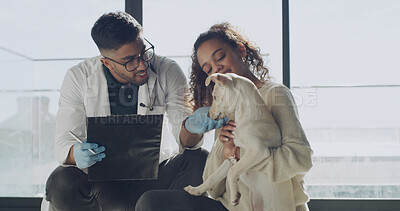 Buy stock photo Happy man, veterinary or clipboard with dog for animal welfare, petcare or checkup in clinic. Male person, vet and woman with pet, doggy or canine for medical results, exam or treatment at shelter