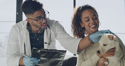 Buy stock photo Exam, veterinary and dog with woman in clinic for appointment, support and pet care. Animal welfare, medical treatment and help with man and puppy for checkup, diagnosis and healthcare together