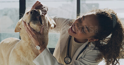 Buy stock photo Woman, vet and dog with inspection, mouth or dental wellness with services for care at clinic. Person, animal doctor and check teeth with smile, pet or canine hygiene with career at veterinary center