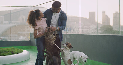 Buy stock photo Adoption, dogs and energy with couple at animal shelter together for humanitarian responsibility. Charity, foster care and pet rescue with excited people at kennel to search for loyal companion