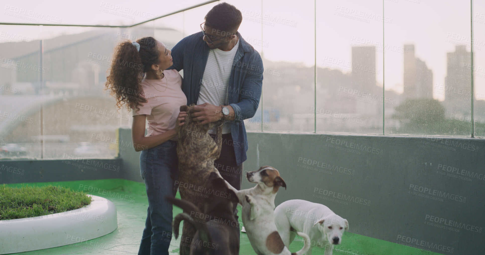 Buy stock photo Adoption, dogs and energy with couple at animal shelter together for humanitarian responsibility. Charity, foster care and pet rescue with excited people at kennel to search for loyal companion