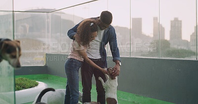 Buy stock photo Hug, couple and dogs at shelter for foster, adoption and choice for animal rescue with love. Pets, happy man and woman at pound for care, laugh and embrace partner for support at charity together