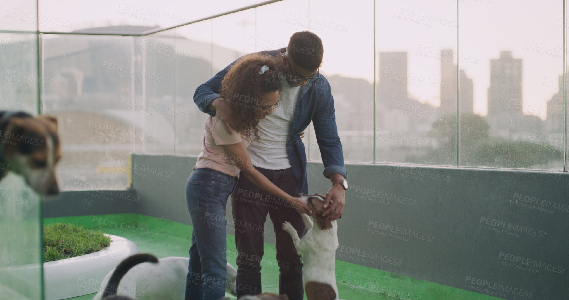 Buy stock photo Hug, couple and dogs at shelter for foster, adoption and choice for animal rescue with love. Pets, happy man and woman at pound for care, laugh and embrace partner for support at charity together