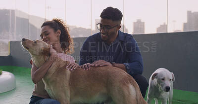 Buy stock photo Adoption, cuddle and dog with happy couple at animal shelter together for humanitarian responsibility. Foster care, love and pet rescue with people at kennel or pound to search for loyal companion