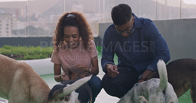 Buy stock photo Woman, man and treat at dog shelter with volunteer services, play and care with supplements for benefits. People, charity and pet animals with pills, tablet or medicine for wellness at canine center