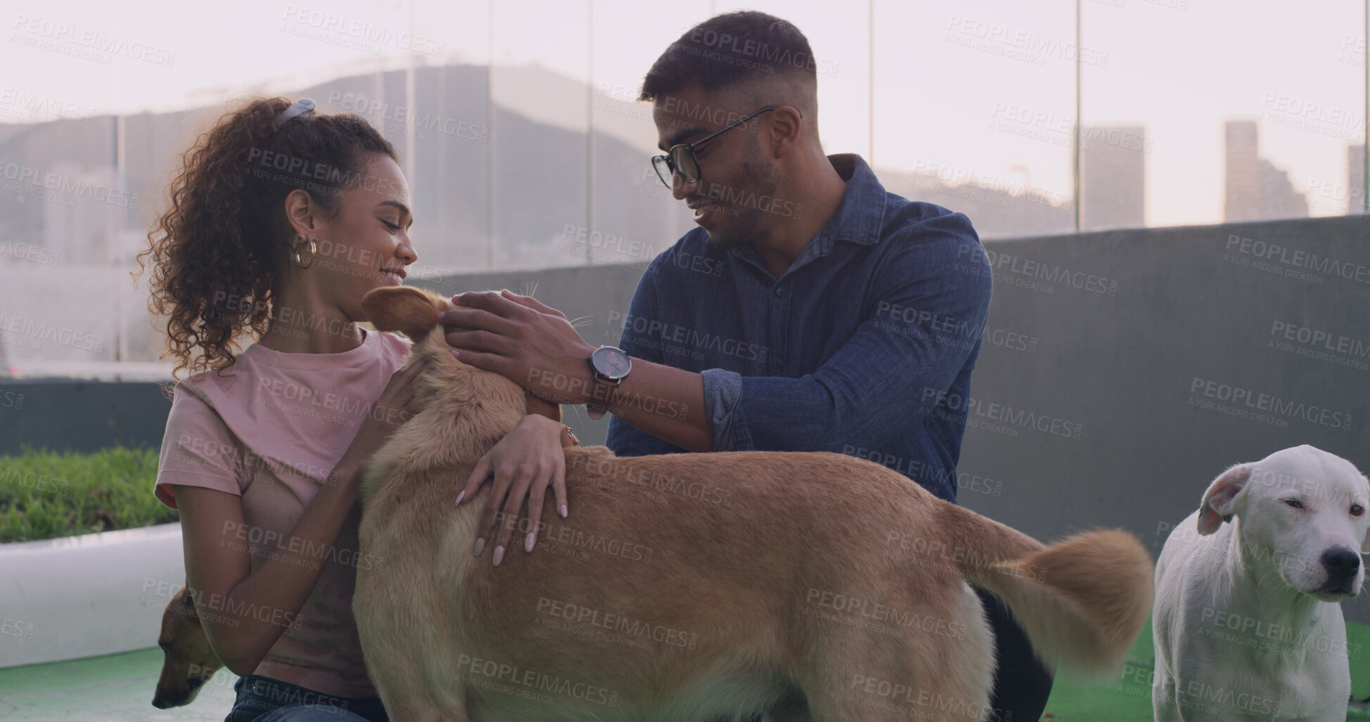 Buy stock photo Adoption, cuddle and dog with couple at animal shelter together for humanitarian responsibility. Charity, foster care and pet rescue with people at kennel or pound to search for loyal companion