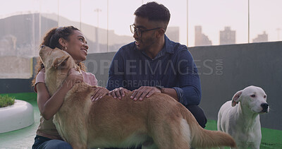 Buy stock photo Adoption center, dogs and couple for foster care, smile and love in rescue kennel. Animal shelter, companion sanctuary and domestic canine for people at volunteer home, charity and ngo for welfare