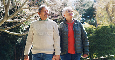 Buy stock photo Forest, holding hands and senior couple with love, sightseeing and bonding together with romance. Outdoor, man and woman with relationship, walking and peace with support, marriage and retirement