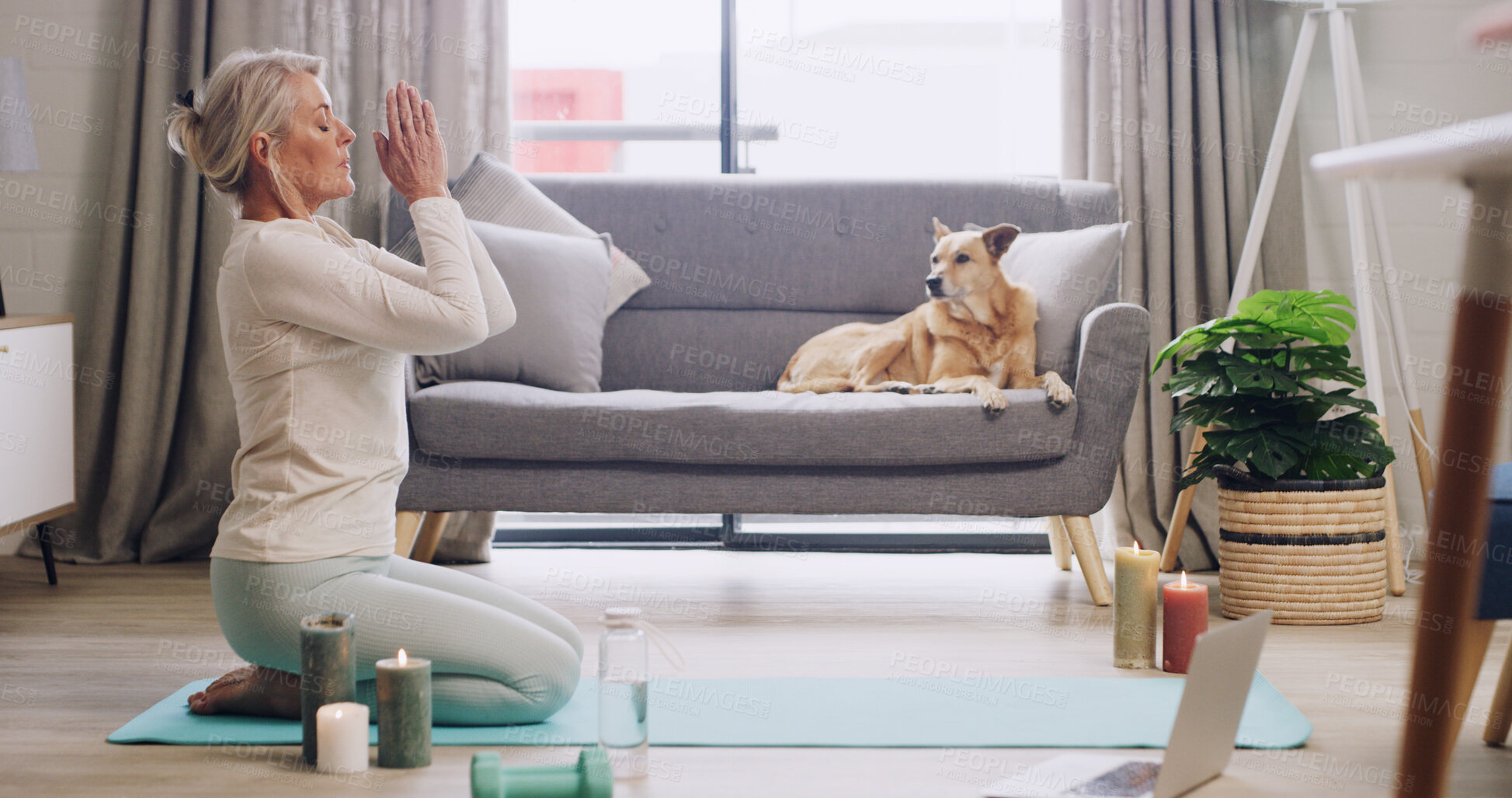 Buy stock photo Laptop, meditation and yoga with woman on living room floor for inner peace or online class. Balance, computer or mindfulness with person and pet dog in apartment for tutorial or virtual learning