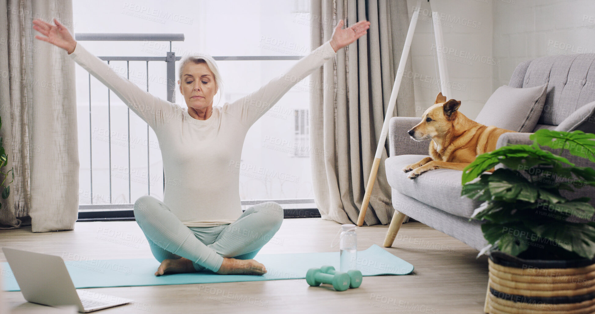 Buy stock photo Arms, laptop and yoga with woman on living room floor for online class or tutorial course. Computer, exercise or stretching with mature person and pet dog in apartment together for virtual learning