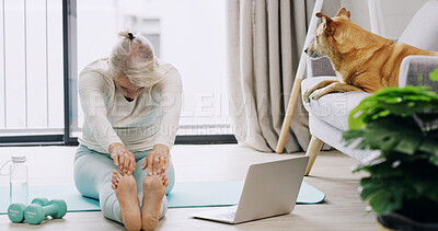 Buy stock photo Mature woman, laptop and stretching for fitness in home with dog, online course and tutorial on floor. Person, computer and streaming with warm up, class and exercise for legs with pet at apartment