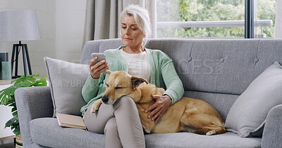 Buy stock photo Phone, sofa and mature woman with dog for love, support or animal care in home living room to relax. Best friend, house lounge and owner with pet, social media or rest for bonding or comfort together