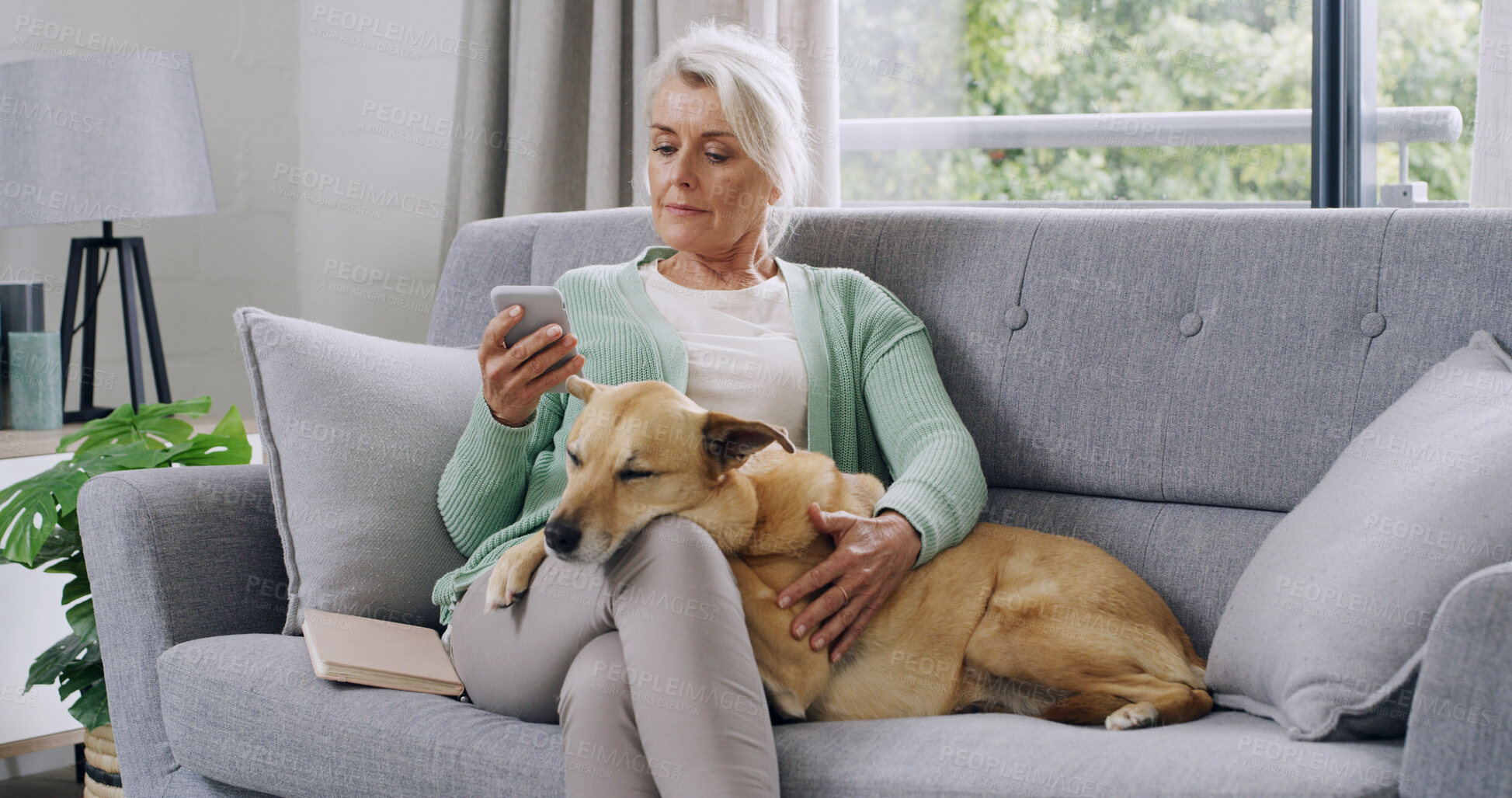 Buy stock photo Phone, sofa and mature woman with dog for love, support or animal care in home living room to relax. Best friend, house lounge and owner with pet, social media or rest for bonding or comfort together
