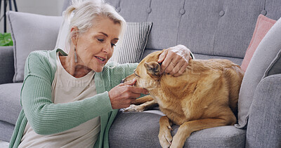 Buy stock photo Home, sofa and senior woman with dog for love, support and animal care in living room to relax. Best friend, house lounge and mature owner with canine, comfort or touch for bonding together on couch