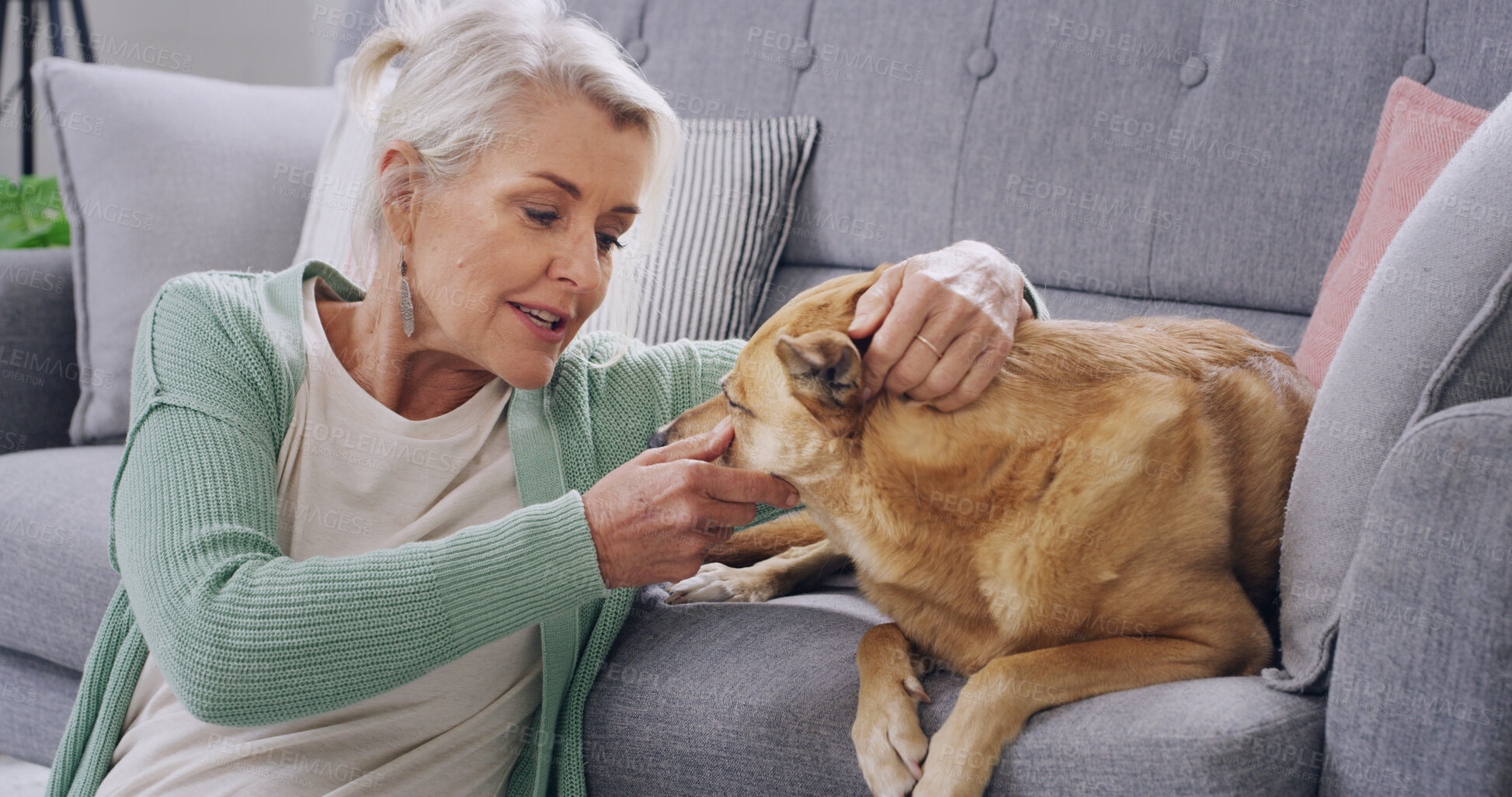 Buy stock photo Home, sofa and senior woman with dog for love, support and animal care in living room to relax. Best friend, house lounge and mature owner with canine, comfort or touch for bonding together on couch