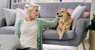 Buy stock photo Mature woman, dog and laptop in living room with research for pet insurance, bonding and best friends. Stoke, connection with senior person or owner for retirement companion and animal cover in home