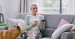 Credit card, online shopping or phone with dog and woman on sofa in living room of home for checkout. App, ecommerce or purchase with mature customer and pet in apartment for transfer and transaction