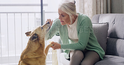 Buy stock photo Obedience, training or treat with dog and woman in living room of home for discipline or reward. Learning, paw or teaching with mature person and pet in apartment for development or instructions