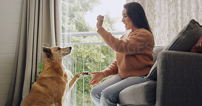 Buy stock photo Home, reward or training with dog and woman in living room for discipline, obedience or treat. Learning, paw or teaching with animal and pet owner in apartment for development or instructions
