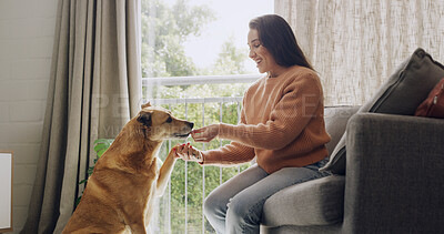 Buy stock photo Feeding, reward or training with dog and woman on sofa in living room of home for discipline. Learning, paw or teaching with animal and happy pet owner in apartment for development or instructions