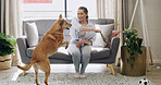 Happy, playing and woman with dog in home for bonding, adoption or connection together. Smile, training and female person on sofa with puppy, pet or animal for fun on weekend in living room at house.